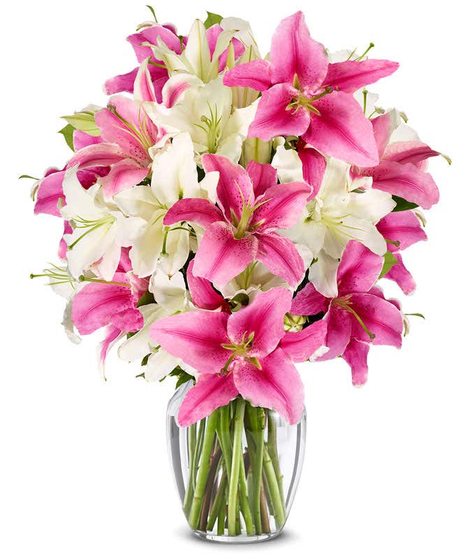 Premium bouquet of pink and white lilies with optional elegant glass vase and personalized gift message for a housewarming.