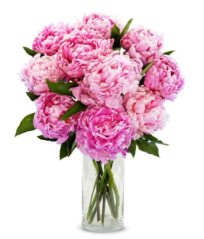 A stunning arrangement of 10 assorted pink peonies, optionally presented in a glass vase. These lush and fragrant peonies create a beautiful and elegant display, perfect for adding a touch of romance to any setting.