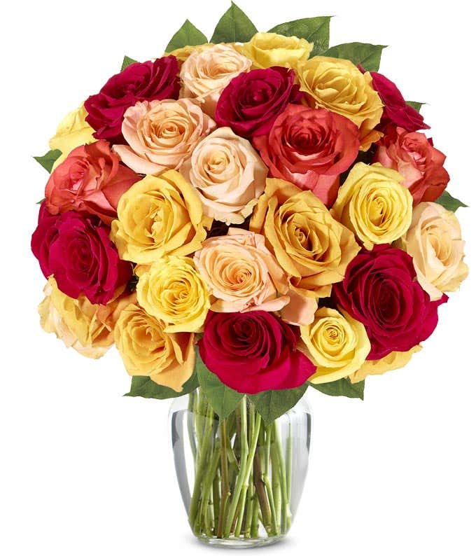 Two dozen Autumn roses