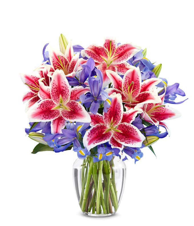A bouquet of Iris & Stargazer Lilies in a Glass Vase