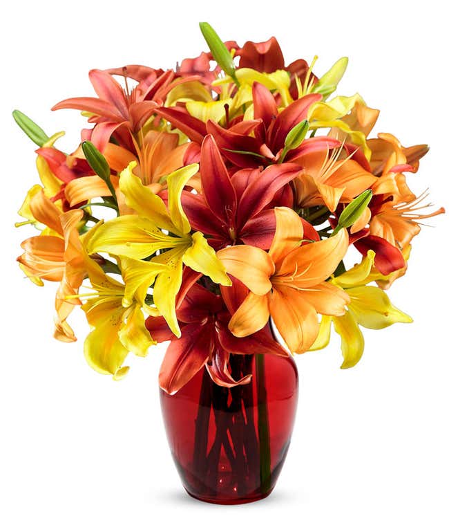 A bouquet of yellow, orange, and red lilies, with some unbloomed green lily buds in a glass vase