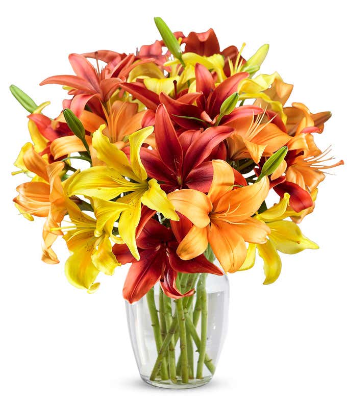 A bouquet of yellow, orange, and red lilies, with some unbloomed green lily buds in a glass vase