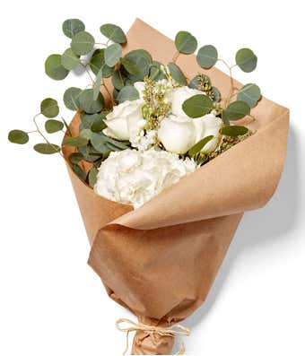 Soft and White Bundle