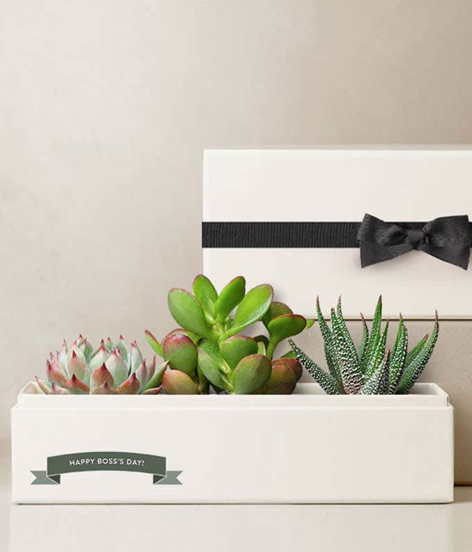 Lula's Garden ® Boss's Day Jewel