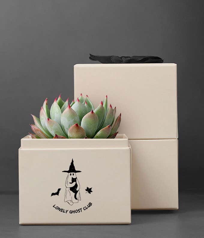 Lula's Garden ® Halloween Bliss