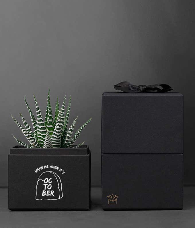 Lula's Garden ® Halloween Zebra Noir