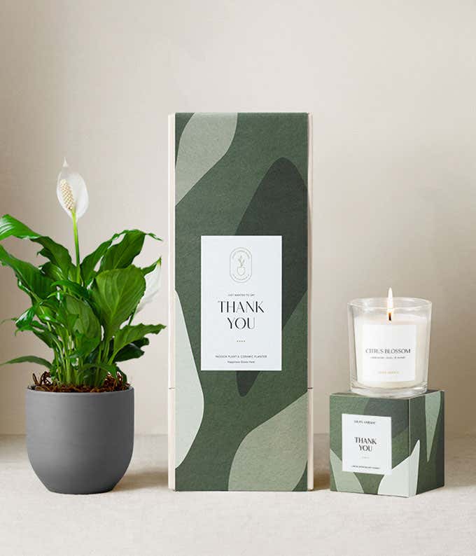 Thank you gift set featuring a peace lily plant in a dark gray ceramic planter, a citrus blossom scented candle, and a green patterned gift box labeled Thank You.