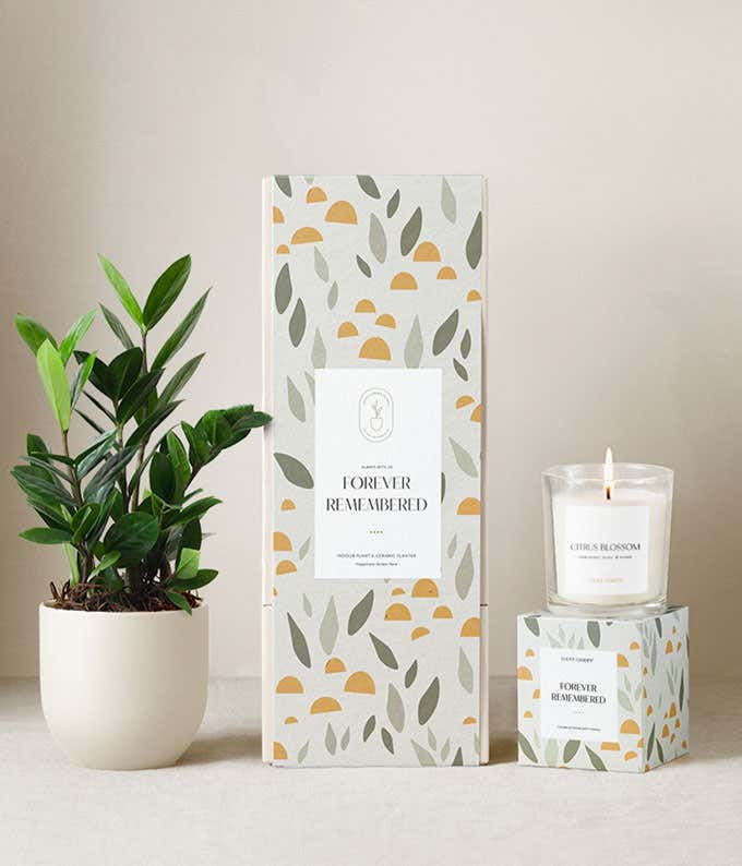 Sympathy gift set featuring a ZZ plant in a white ceramic planter, a citrus blossom scented candle, and a decorative gift box with a leaf and sun pattern labeled Forever Remembered