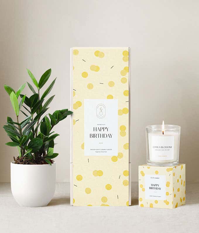 Birthday gift set featuring a ZZ plant in a white ceramic planter, a citrus blossom scented candle, and a yellow polka dot patterned gift box labeled Happy Birthday
