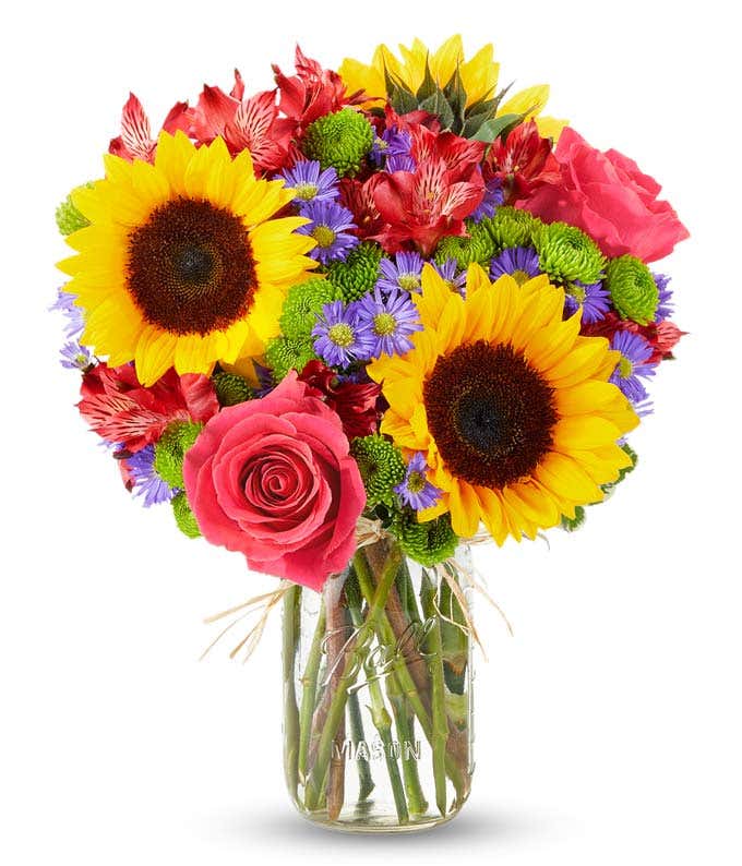 A bouquet of sunflowers, pink roses, red alstroemeria, green poms, and purple asters in a clear mason jar.