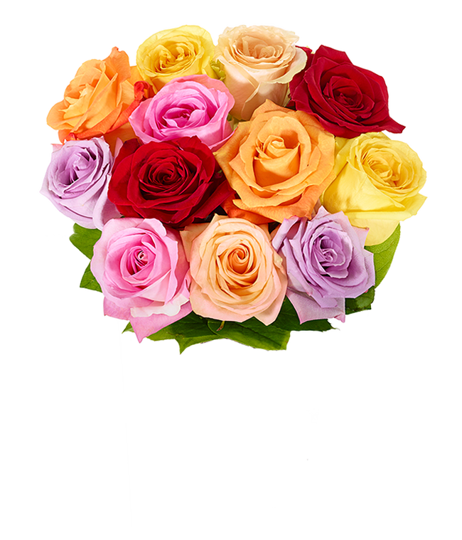 Partial image of One Dozen Love is Love Rainbow Roses without vase.