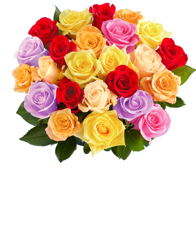 Partial image of Two Dozen Love is Love Rainbow Roses without vase.